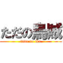 ただの烏賊 (tada no ika)