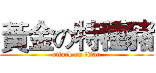 黃金の特種豬 (attack on titan)