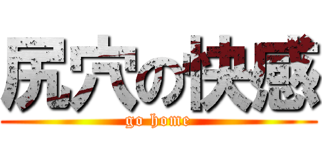 尻穴の快感 (go home)
