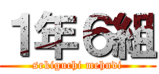 １年６組 (sekiguchi mehndi)