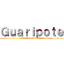 Ｇｕａｒｉｐｏｔｅ (attack on Guarenes)