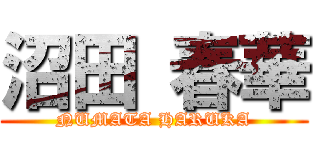 沼田 春華 (NUMATA HARUKA)