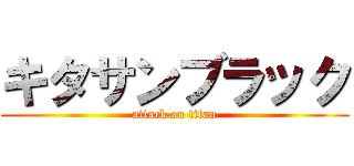 キタサンブラック (attack on titan)