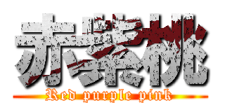 赤紫桃 (Red purple pink)