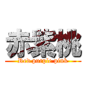 赤紫桃 (Red purple pink)