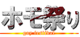 ホモ祭り (gay festival)