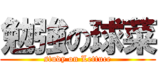 勉強の球菜 (study on Lettuce)