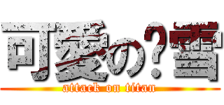 可愛の貓雪 (attack on titan)