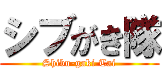 シブがき隊 (Shibu-gaki Tai)