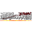 進撃の双樹 (attack on mataki)