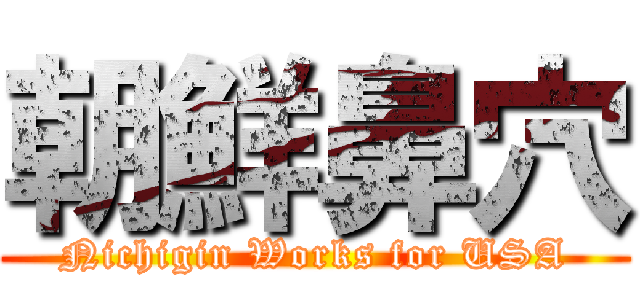 朝鮮鼻穴 (Nichigin Works for USA)