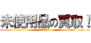 未使用品の買取！ (台数制限無し！)