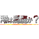 澪は馬鹿か？ (attack on titan)