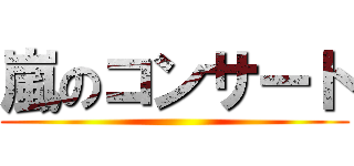 嵐のコンサート ()