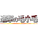 進撃の毛小毛 (attack on Mao)