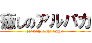 癒しのアルパカ (healing of the alpaca)