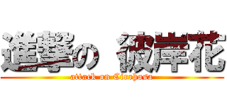 進撃の 彼岸花 (attack on Cirrhosa)