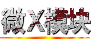 微Ｘ模块 ()