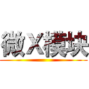 微Ｘ模块 ()