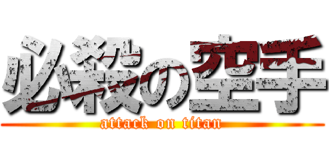 必殺の空手 (attack on titan)