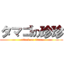 タマゴの珍珍 (attack on titan)