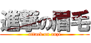 進撃の眉毛 (attack on anzi)
