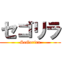 セゴリラ (SeGorira)