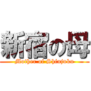 新宿の母 (Mother of Shinjuku)