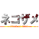 ネコザメ (attack on titan)