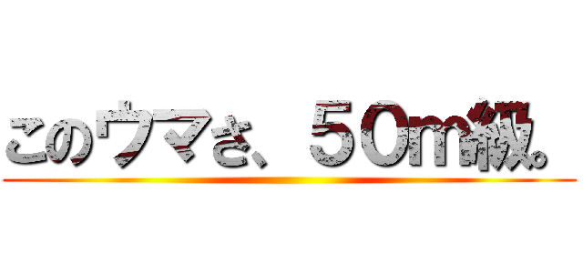このウマさ、５０ｍ級。 ()