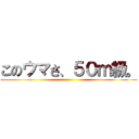 このウマさ、５０ｍ級。 ()