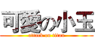 可愛の小玉 (attack on titan)