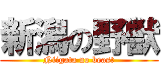 新潟の野獣 (Niigata no beast)