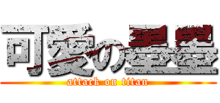 可愛の墨墨 (attack on titan)