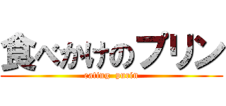 食べかけのプリン (eating  purin)