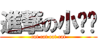 進撃の小ㄇㄧ (cat cat cat cat)