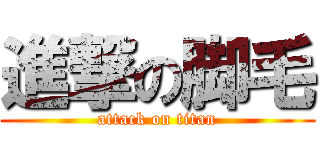 進撃の脚毛 (attack on titan)