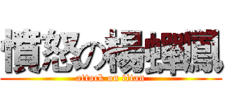 憤怒の楊蟬鳳 (attack on titan)