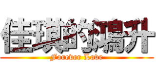 佳琪的鴻升 (Forever Love)