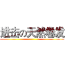 进击の天然卷发 ()