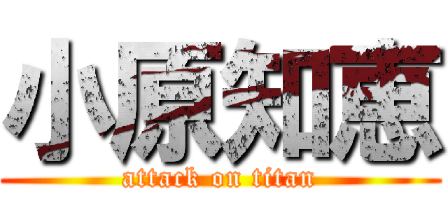 小原知恵 (attack on titan)