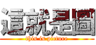 這就是圖 (this is picture)