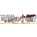 可愛の小懶貓 ()