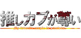 推しカプが尊い (My favorite couple is precious.)