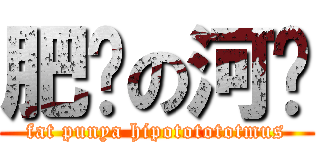 肥腻の河马 (fat punya hipototototmus)