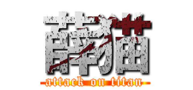 薛猫 (attack on titan)