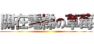 關在電梯の草莓 ()