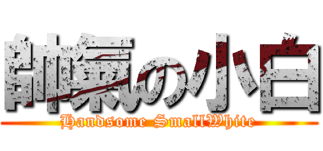 帥氣の小白 (Handsome SmallWhite)