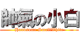 帥氣の小白 (Handsome SmallWhite)