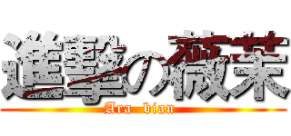 進擊の薇茉 ( Ara  bian  )